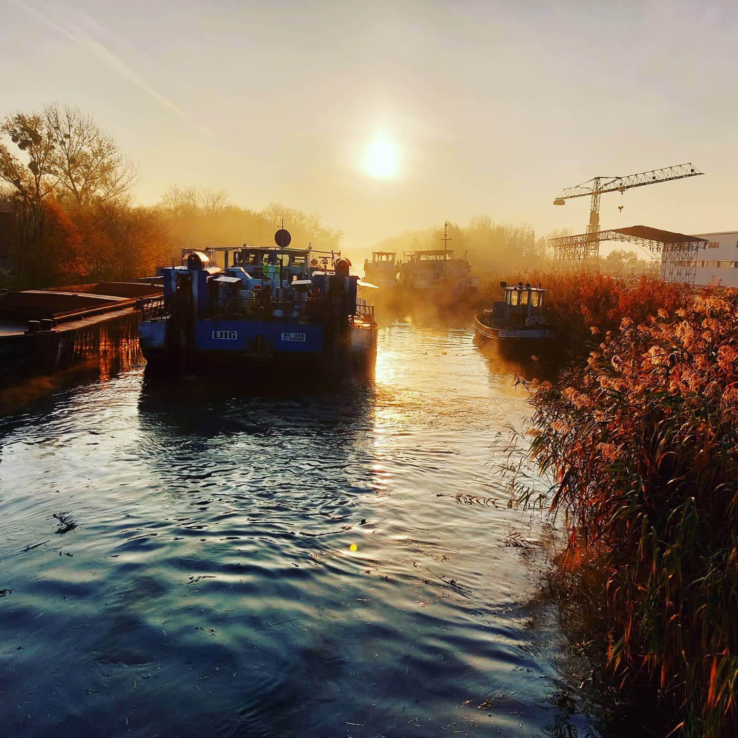 VIP GROUP Brodoremont